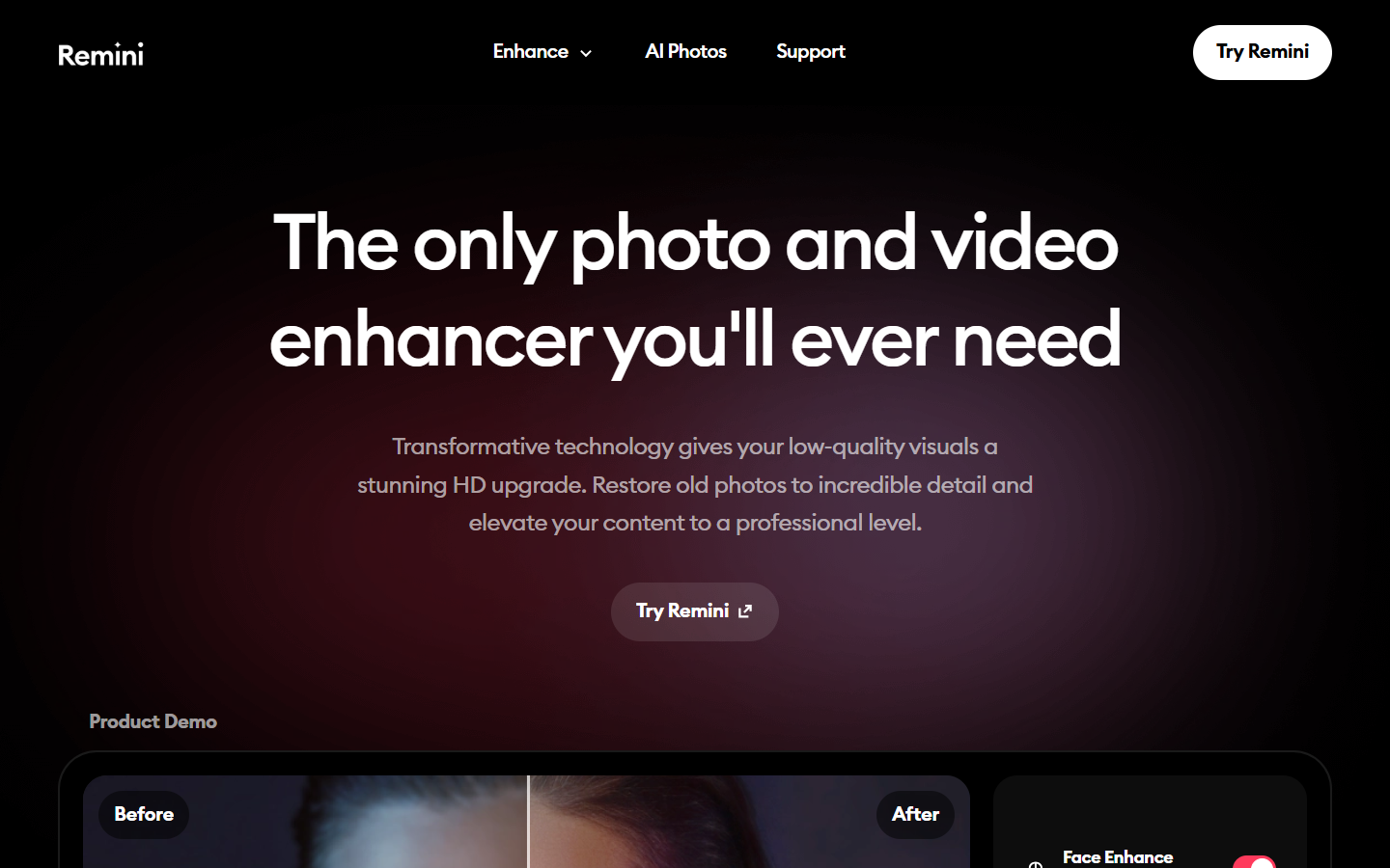 Remini homepage